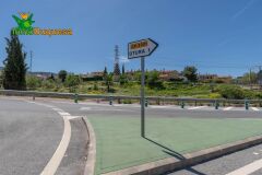 Foto8