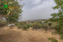 Foto48