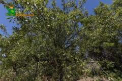 Foto5