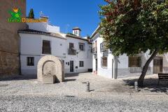 Foto8