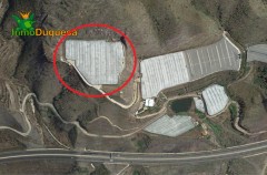 Foto4