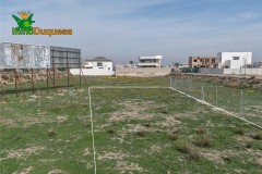 Foto5