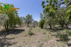 Foto16