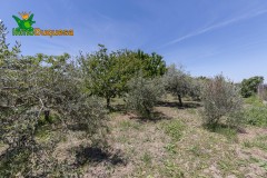 Foto23