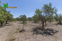 Foto4