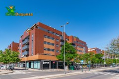 Foto7