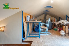 Foto37