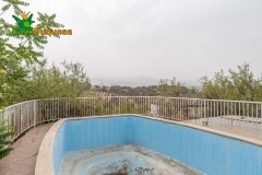 Foto42