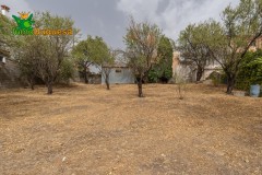 Foto47