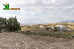 Foto16
