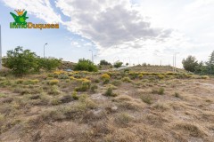 Foto17