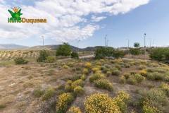 Foto5
