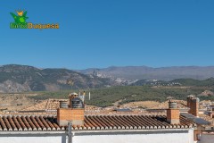 Foto40