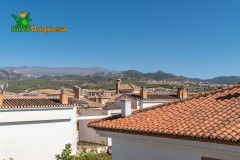 Foto41