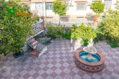 Foto36