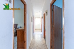 Foto42