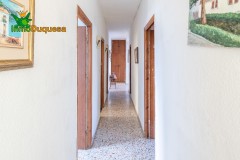 Foto50