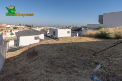 Foto15