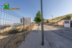 Foto8