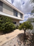 Foto4