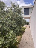 Foto8