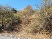 Foto18