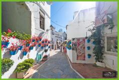Foto42