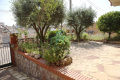 Foto7