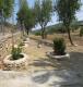Foto9