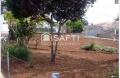 Foto8