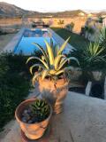 Foto18