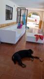 Foto6