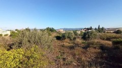 Foto5