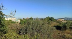 Foto6