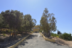 Foto33