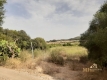 Foto4