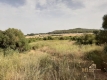 Foto5