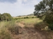 Foto6