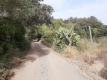 Foto7