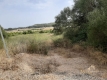 Foto8