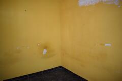 Foto9