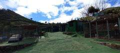 Foto13