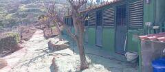 Foto19
