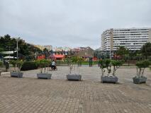 Foto34