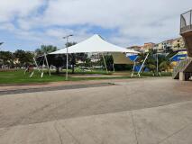 Foto36