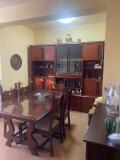 Foto8