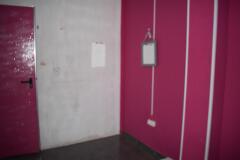 Foto14