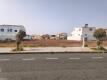 Foto6