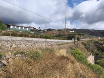 Foto1