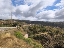 Foto8